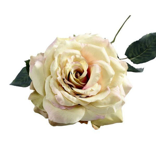 74cm Single Aidde Rose Cream Blush Artificial Silk Roses Flowers - Lost Land Interiors