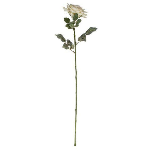 74cm Single Aidde Rose Cream Blush Artificial Silk Roses Flowers - Lost Land Interiors