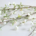 Small Blossom Spray Cream Artificial Flower SPray - Lost Land Interiors