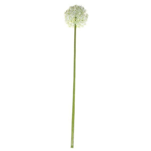 76cm Single Allium Cream & White - Lost Land Interiors
