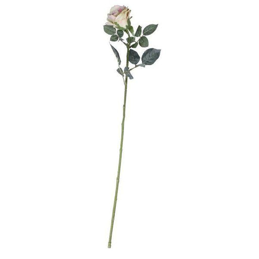 72cm Single Olivia Rose Cream Blush - Lost Land Interiors