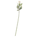 71cm Single Celia Rose Cream Artificial Silks Roses Flowers - Lost Land Interiors