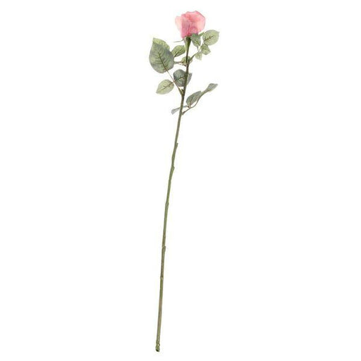 71cm Single Celia Rose Peach Artificial Flowers Roses - Lost Land Interiors