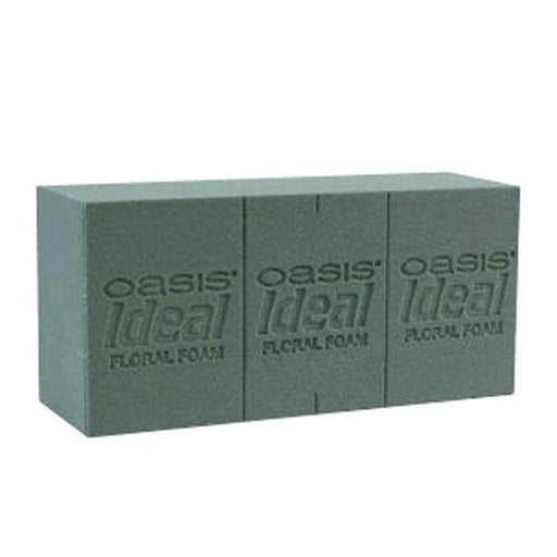 Oasis Ideal Foam Maxlife Brick (20 pk) - Lost Land Interiors