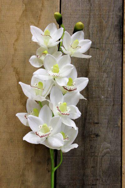 White Phalaenopsis Spray 45 inch Artificial Silk Flowers - Lost Land Interiors