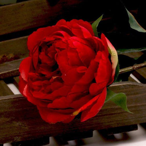 Single Peony Red 68cm Artificial Silk Flowers Peonies - Lost Land Interiors
