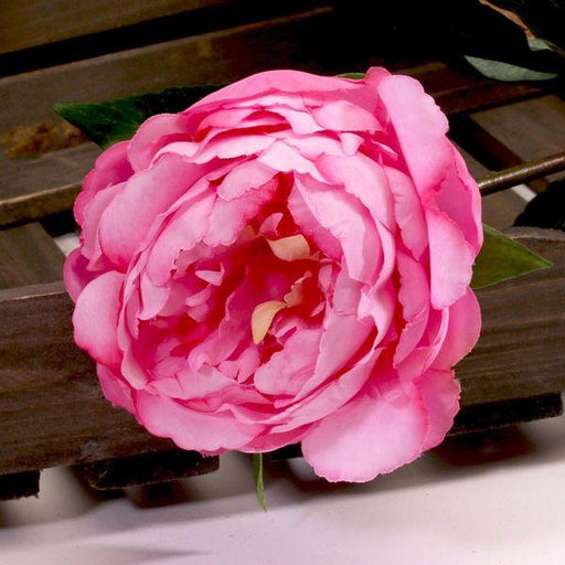Single Peony Dark Pink 68cm Artificial Peonies Silk Flowers - Lost Land Interiors