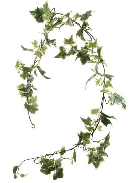 Holland Ivy Garland 6ft Artificial Greenery - Lost Land Interiors
