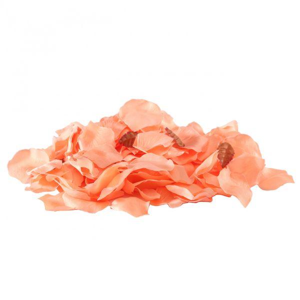 Peach Rose Petals - Lost Land Interiors