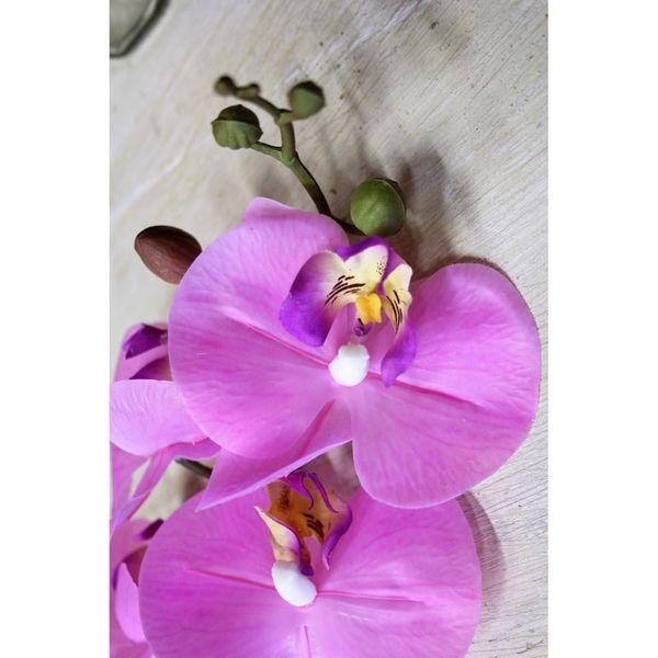 Pink Phalaenopsis Spray 34.5 inch - Lost Land Interiors