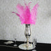 Fuchsia Ostrich Feathers x 5 - Lost Land Interiors