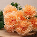 Orange Carnations (12 Stems) - Lost Land Interiors
